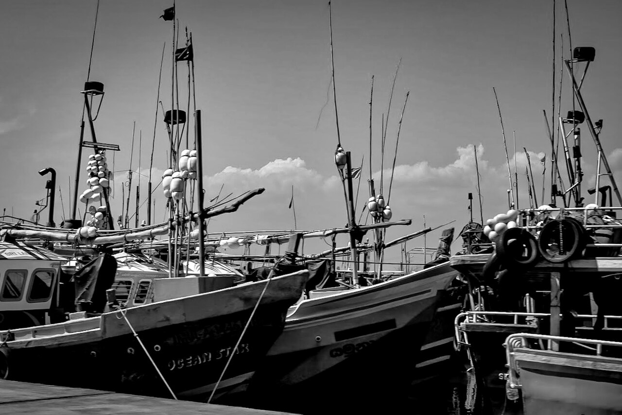 Fishing boats moored at Mirissa harbour