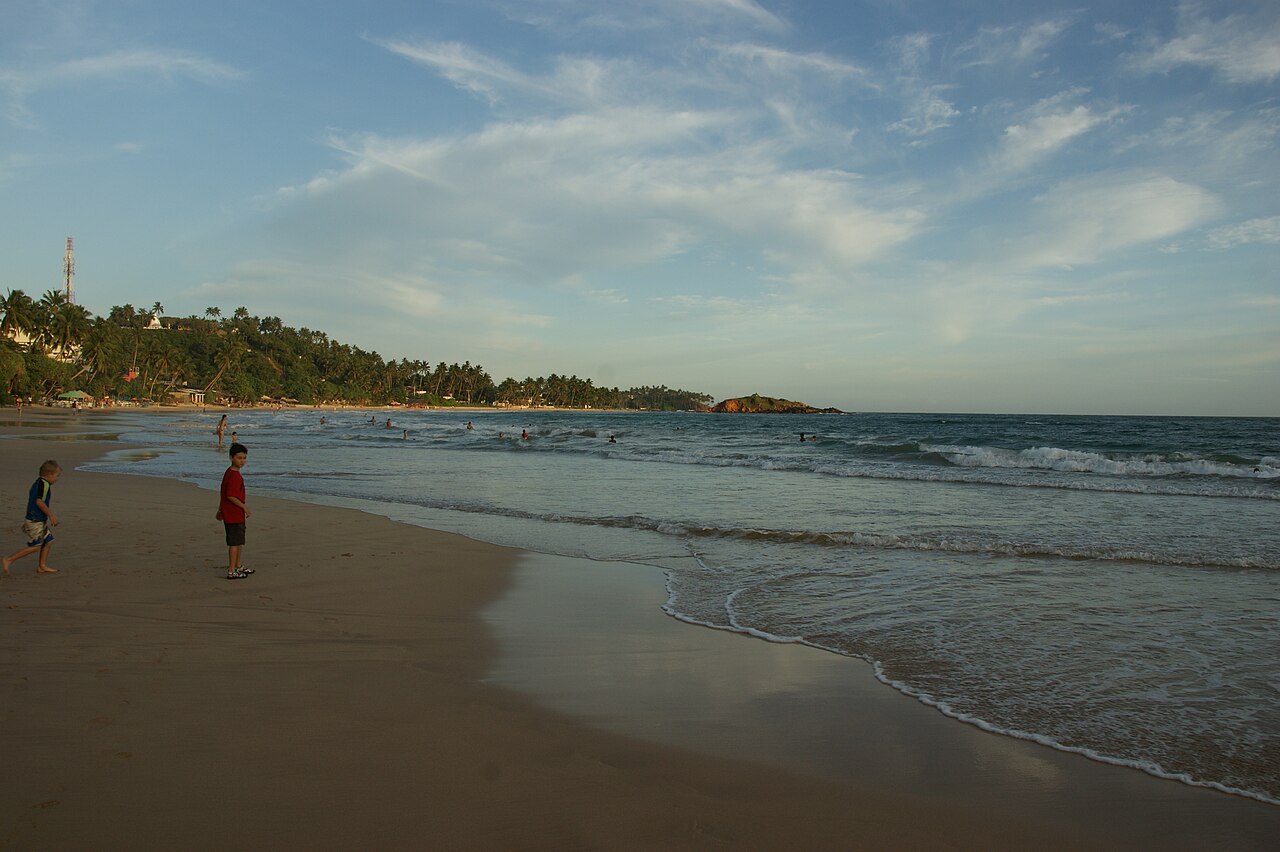 Mirissa Beach with palm trees along the shore